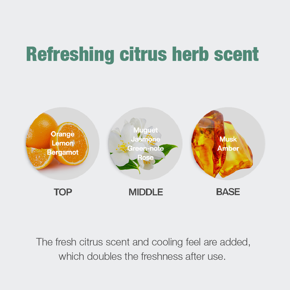 Phyto Fresh Scalp Scaler herb scent