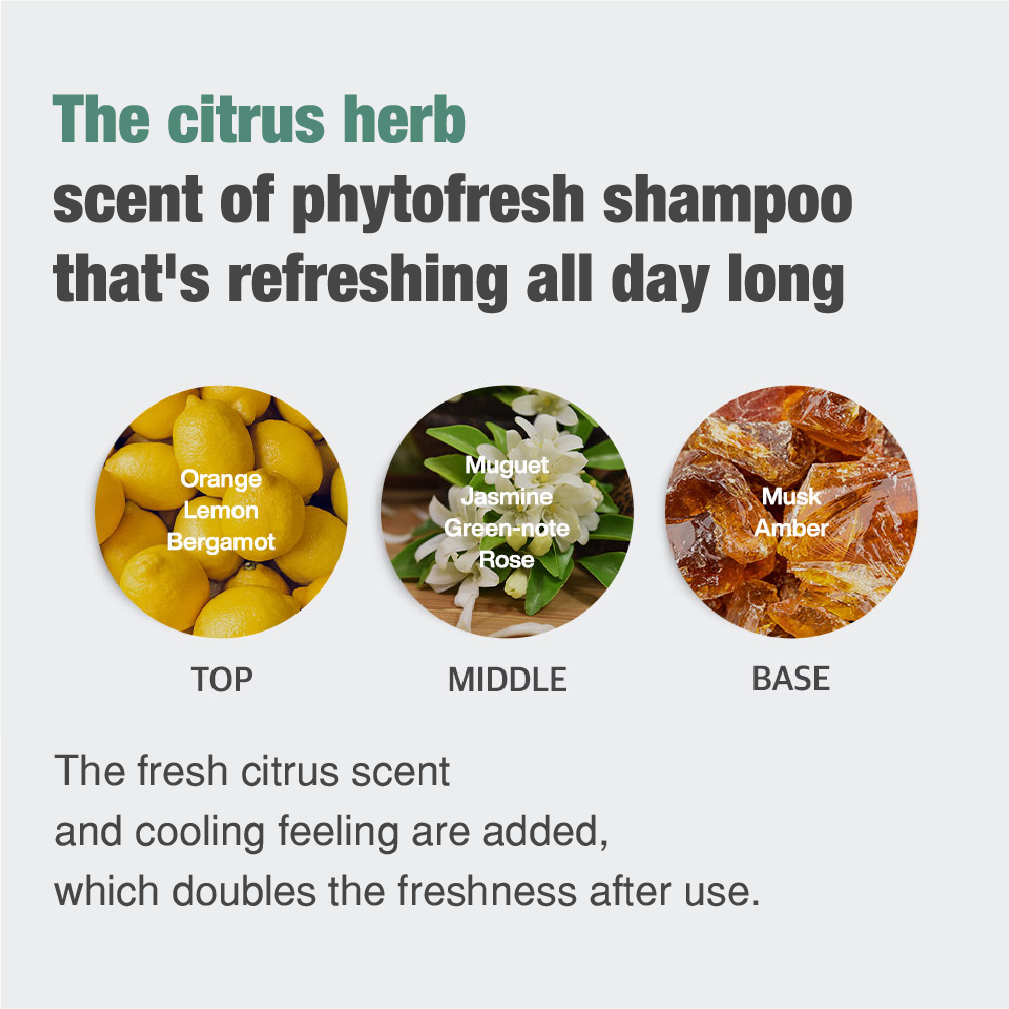 Phyto Fresh Shampoo citrus herb